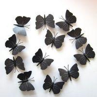 金粉蝶,翩翩起舞的美丽传奇